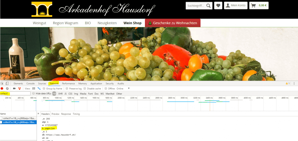 Google Analytics Tracking Überprüfung
