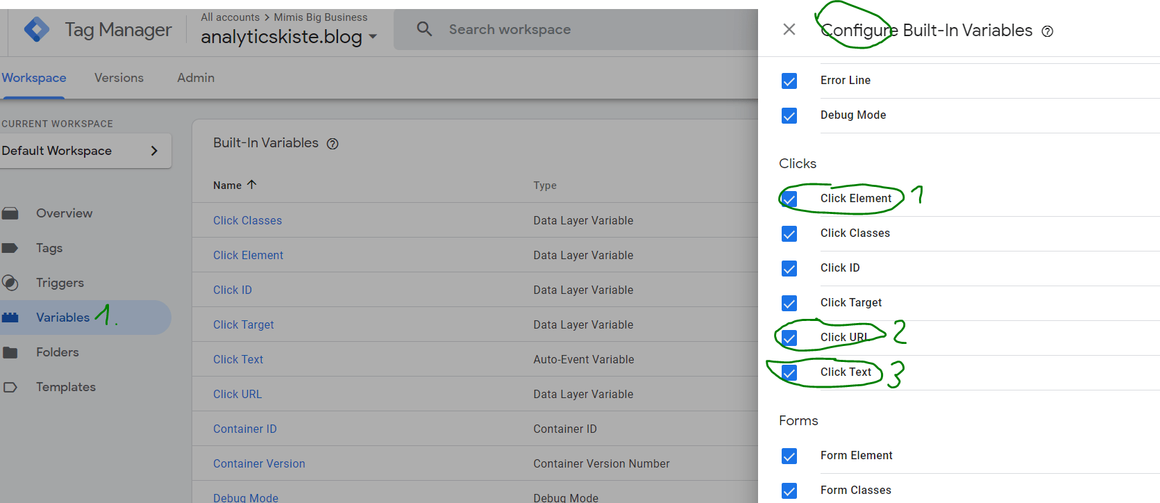 Build In Variablen im GTM