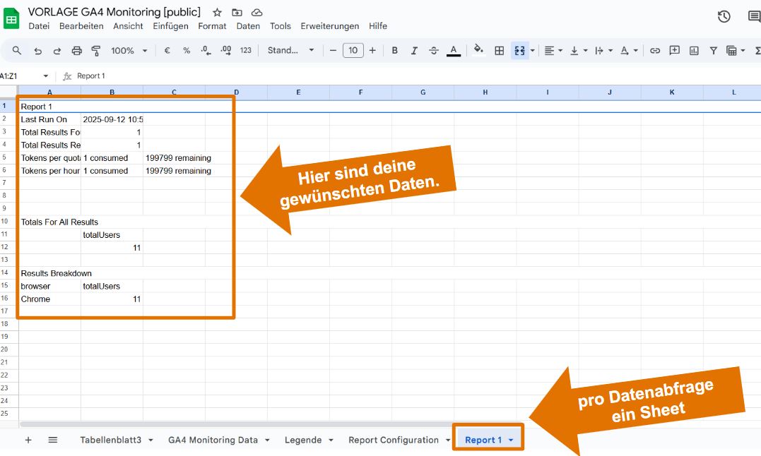 GA4 Report Builder - Erfolgreiche Datenabfrage
