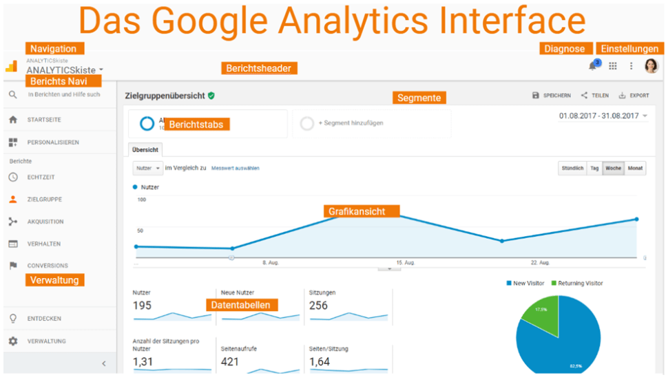 Google Analytics Interface